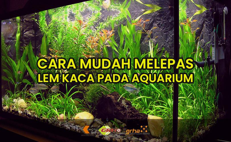 Cara Melepas Lem Kaca Aquarium. Cara Mudah Melepas Lem Kaca pada Aquarium » Jual Lem Kaca