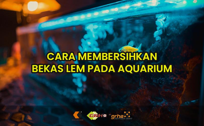 Cara Melepas Lem Kaca Pada Aquarium. Cara Membersihkan Bekas Lem Pada Aquarium » Jual Lem Aquarium