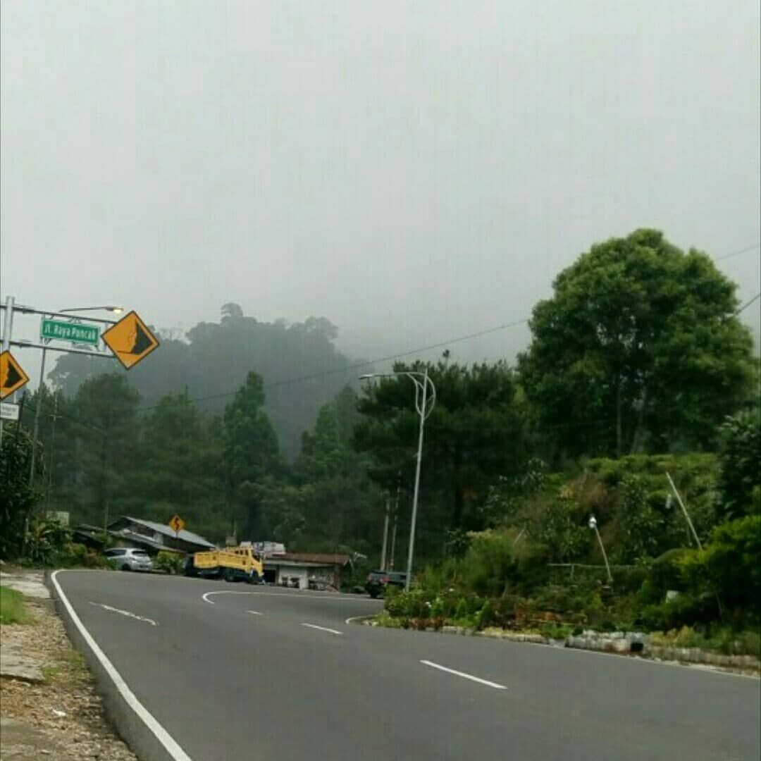 Jalur Jakarta Bandung Naik Motor. Solo Riding ke Bandung via Puncak-Cisarua-Padalarang (Mudik