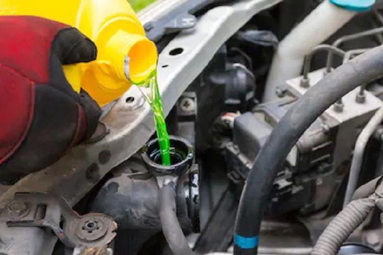 Radiator Coolant Yang Paling Bagus. Punya Tiga Warna Berbeda, Simak Penjelasan Mengenai Cairan