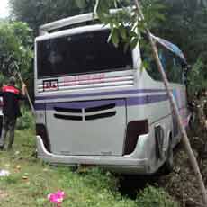 Bus Masuk Hutan. Bus Sarat Penumpang Nyelonong Masuk Hutan Saat Rem Blong