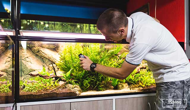 Cara Menghilangkan Lem Aquarium. 7 Cara Membersihkan Kaca Aquarium Berkerak dan Berlumut. Mudah!