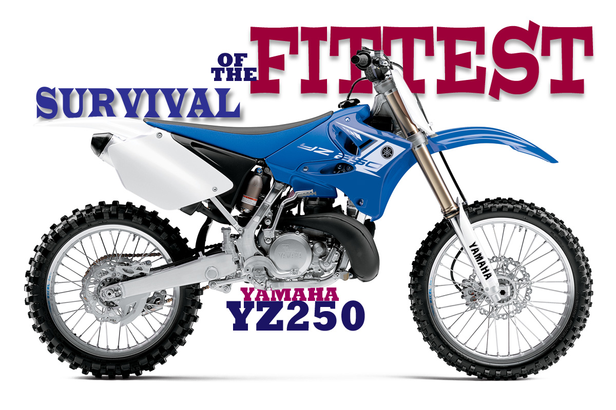 Motor Trail 2 Tak Yamaha. SURVIVAL OF THE FITTEST: CERITA YAMAHA YZ250 2-STROKE