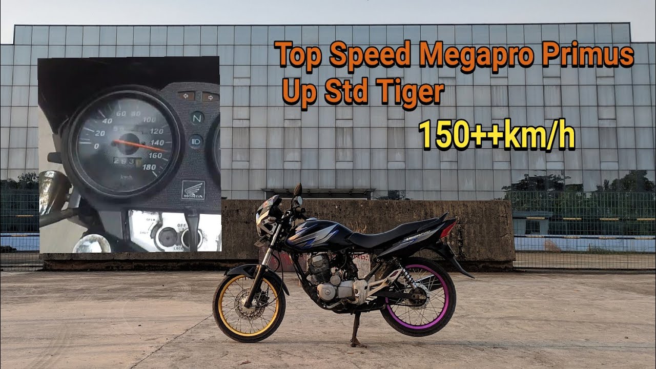 Top Speed Megapro Primus. Top speed Megapro Primus upgrade standart Tiger