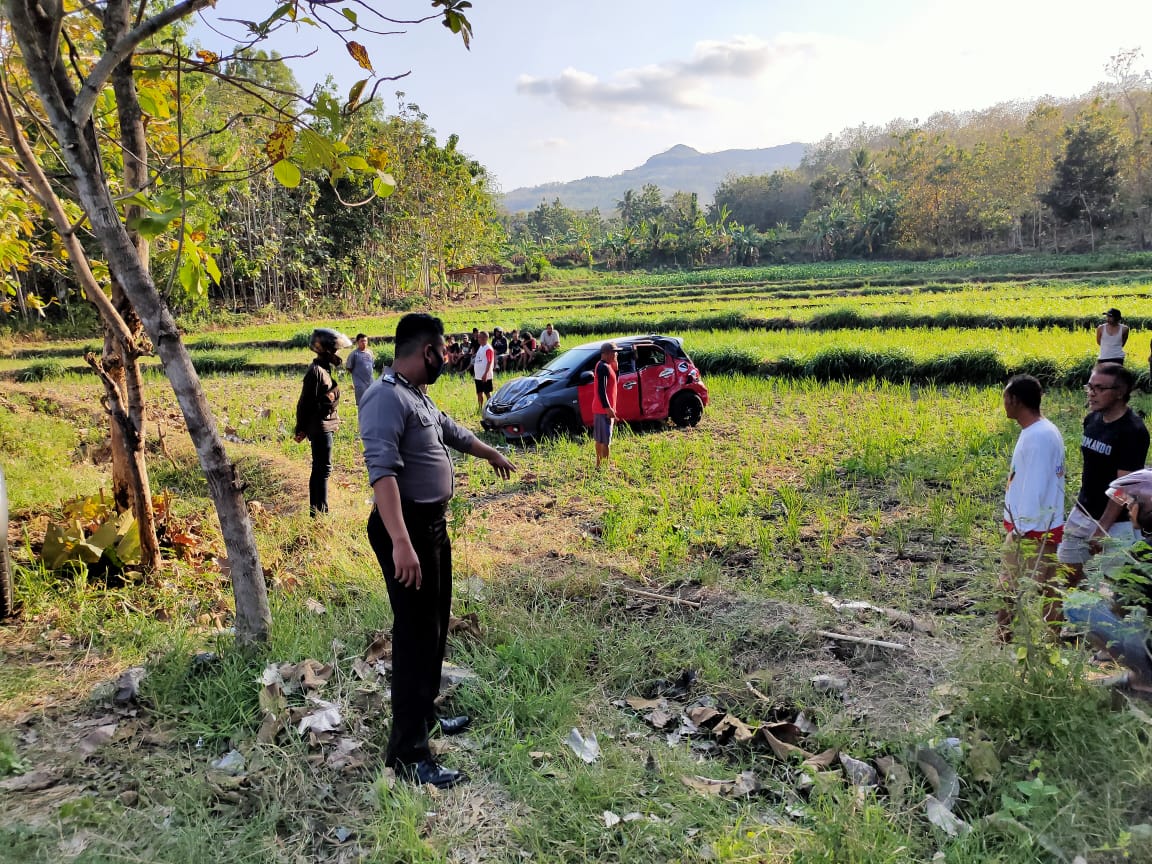 Yamaha Lexi Merah. Honda Brio Merah Masuk Sawah Gegara Kecelakaan Dengan