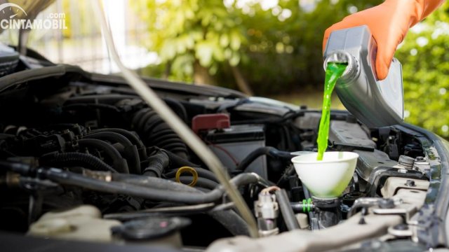 Cara Kuras Radiator Mobil. Bisa Dikerjakan Sendiri di Rumah, Begini Cara Menguras Radiator