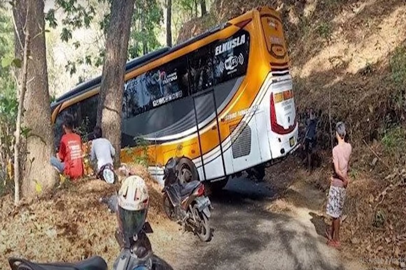 Bus Masuk Hutan. Bikin Merinding! 5 Bus Ini Nyasar Masuk ke Tengah Hutan, Kok Bisa