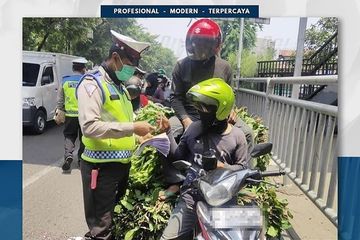 Jupiter Z Burhan Modif Thailook. Karena Bisa Membahayakan Penumpang, Jupiter MX 135 Kena