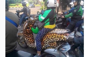 Modifikasi Cat Scoopy. Bikin Keder Aummm! Pesan Ojek Online Yang Datang Macan Tutul