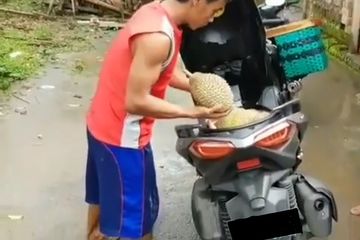 Bagasi Yamaha Aerox 2018. Serba Guna, Bagasi Yamaha XMAX Buat Angkut Durian Muat