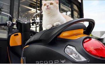 Motor Scoopy Warna Ungu. Inilah 8 Pilihan Warna Baru Honda All New Scoopy Versi 2022