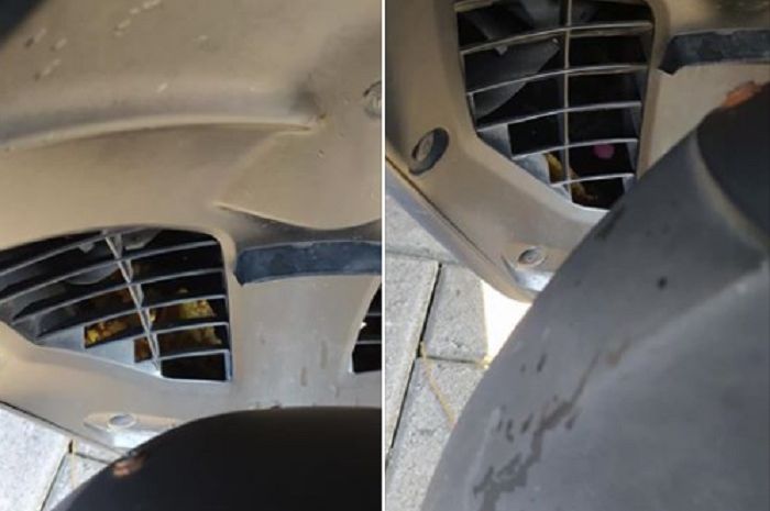 Cara Mengeluarkan Tikus Dari Motor. Grup Yamaha NMAX Mendadak Heboh, Pemilik Motor Kaget
