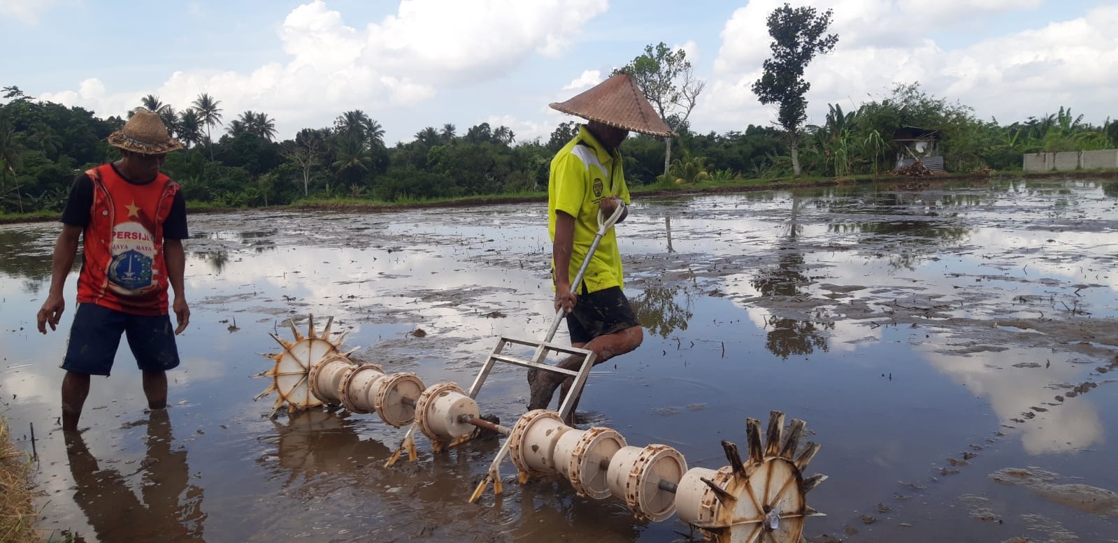 Cara Membuat Serbuk Besi. Teknik Pertanian Baru, Petani di Lobar Tanam Padi Pakai Serbuk Besi