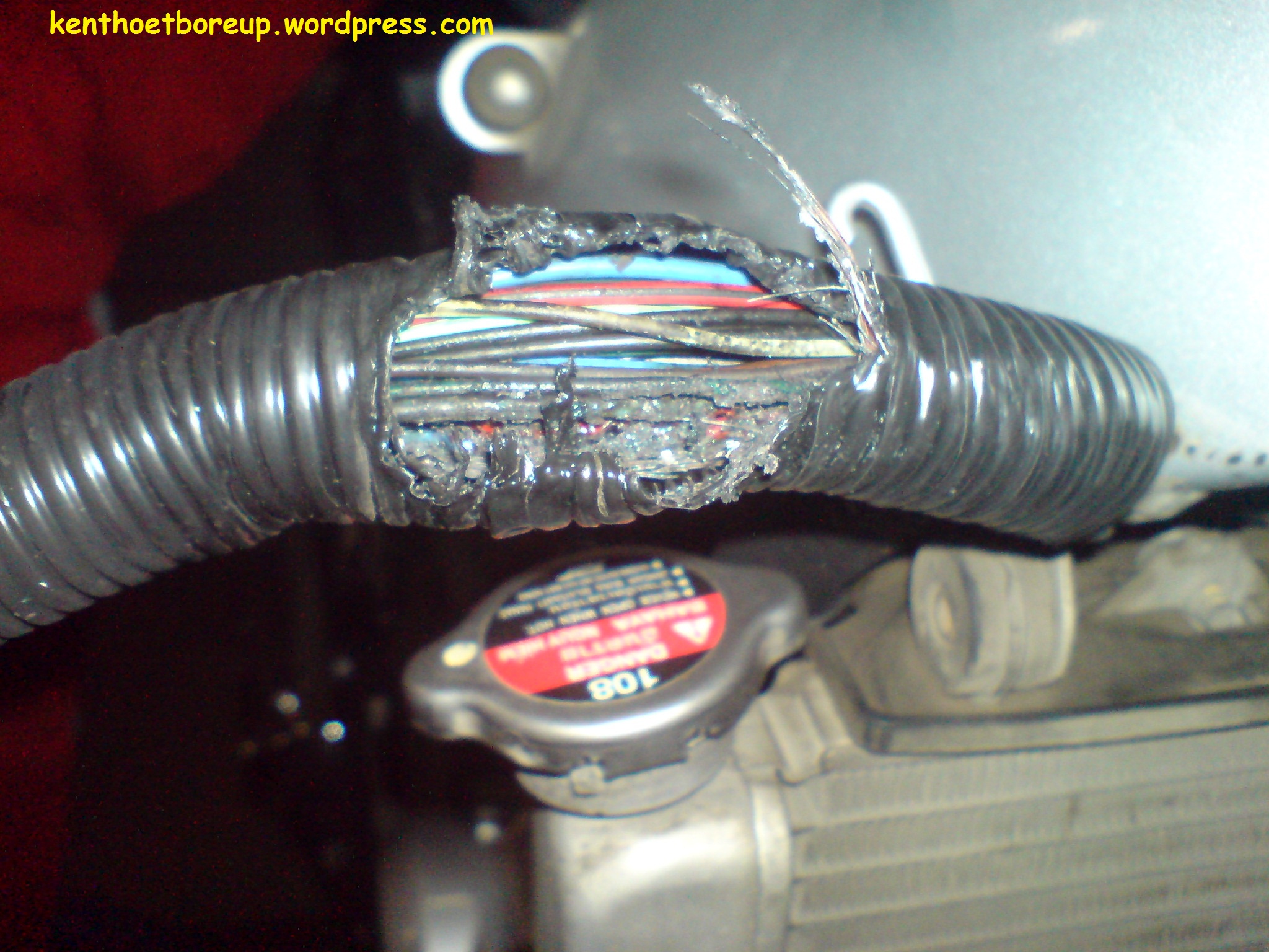 Jalur Kabel Kunci Kontak Vixion. Konslet, Kabel Body Vixion Terbakar…!!!