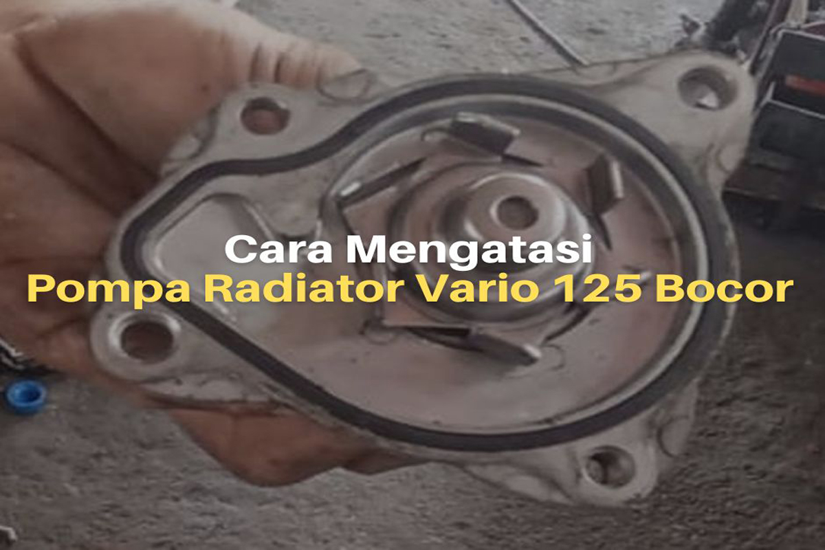 Pompa Radiator Vario. Penyebab Pompa Radiator Vario 125 Bocor & Cara Mengatasinya