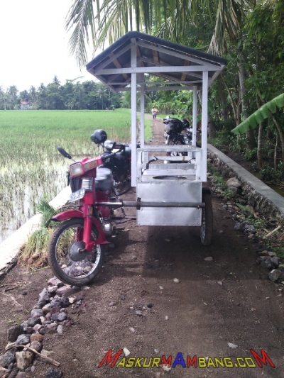 Gerobak Samping Motor. Trike Dengan Gerobak Samping – Maskurblog