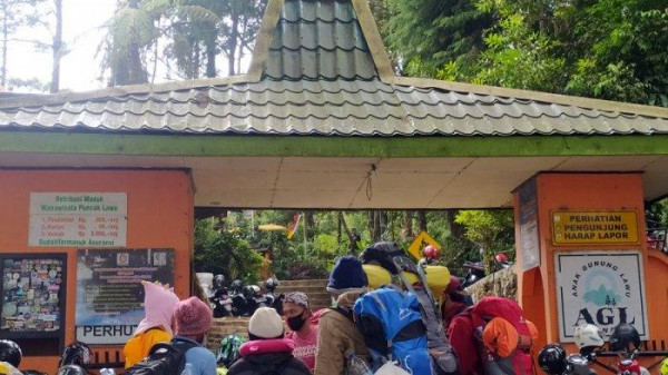 Wisata Cemoro Kandang. Puncak Lawu Via Cemoro Kandang