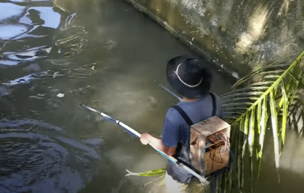 Cara Membuat Setruman Aki. Cara Membuat Setrum Ikan Dengan Mudah