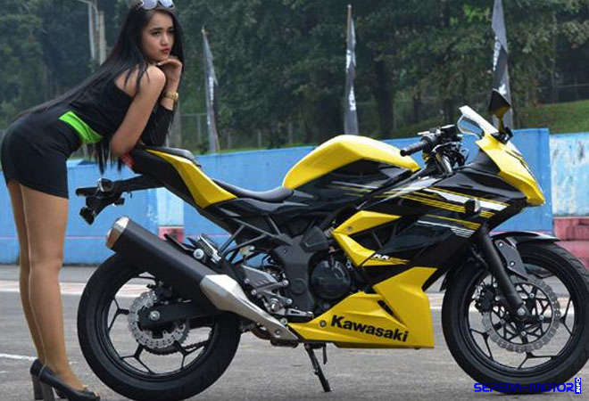 Ninja Rr Mono Modifikasi Racing. Kawasaki Ninja RR Mono, Motor Racing Berbodi Ramping