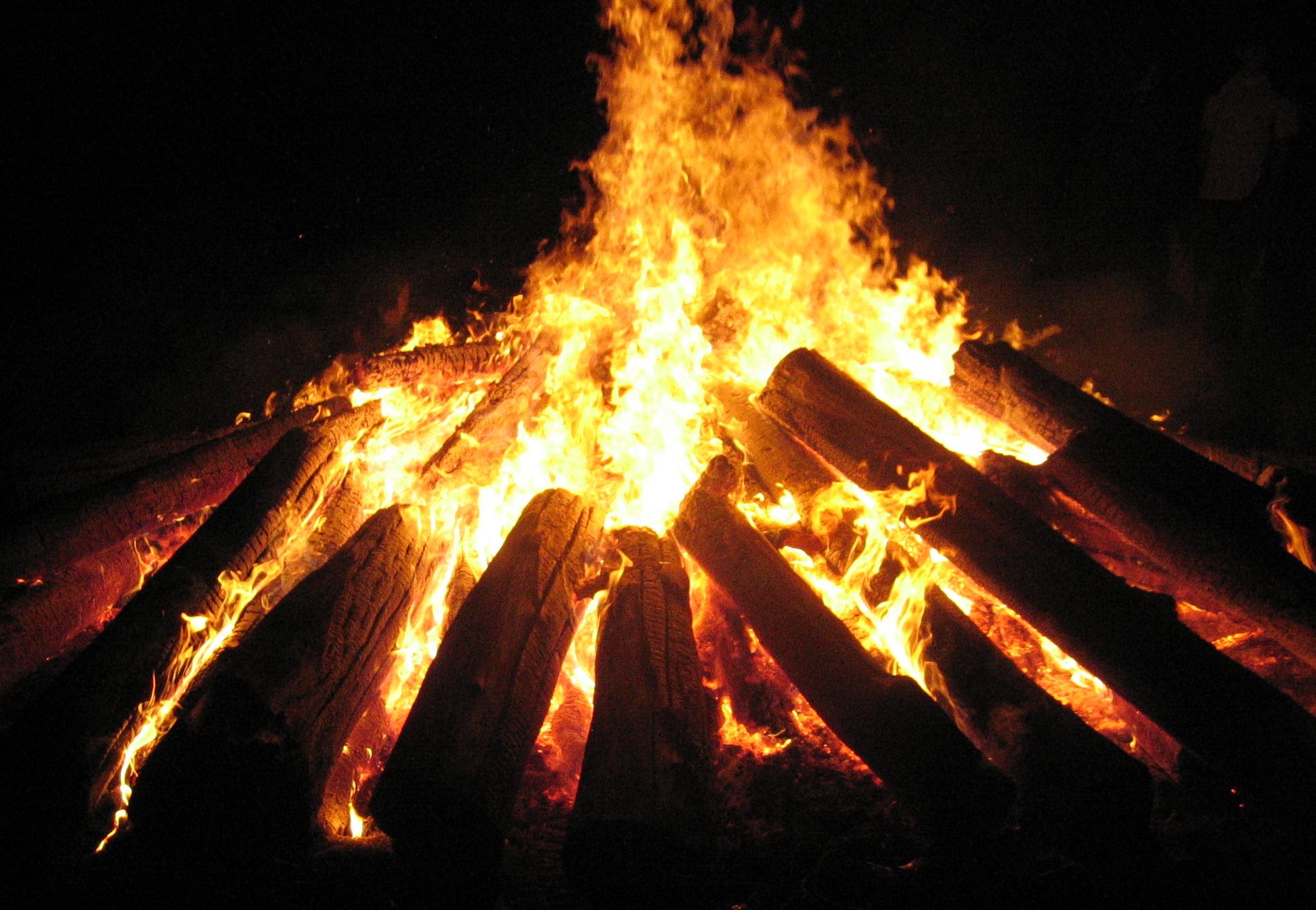 Kayu Buat Api Unggun. Jenis-jenis Kayu yang Nggak Mudah Habis Terbakar untuk Api
