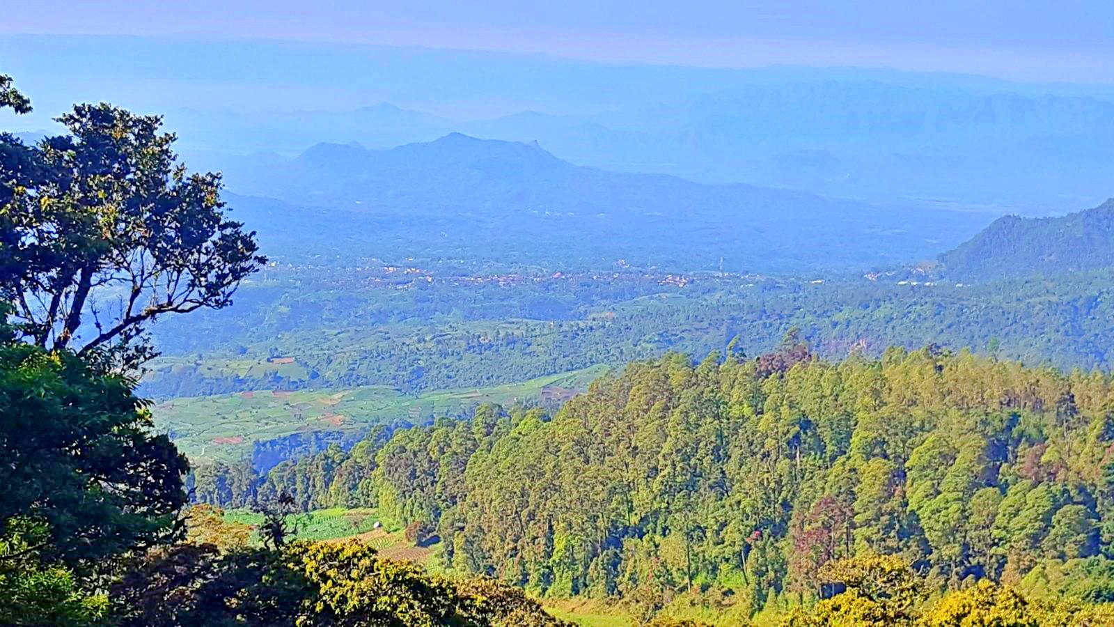 Wisata Cemoro Kandang. CEMORO KANDANG Tiket Masuk & Pesona