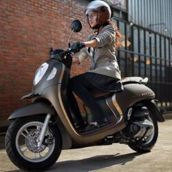 Biaya Ganti Plat Nomor Scoopy. 23 Pajak Honda Scoopy 2021 : Biaya Ganti Plat & Denda Telat Bayar