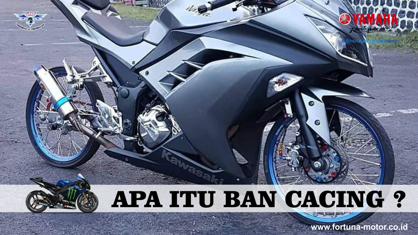 Motor Ban Cacing. Apa Itu Ban Cacing dan Apa Saja Bahayanya Bagi Pengendara Motor