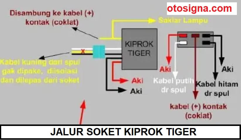 Skema Kiprok Honda Tiger. Jalur Kiprok Tiger : 5 Soket Dan Fungsinya