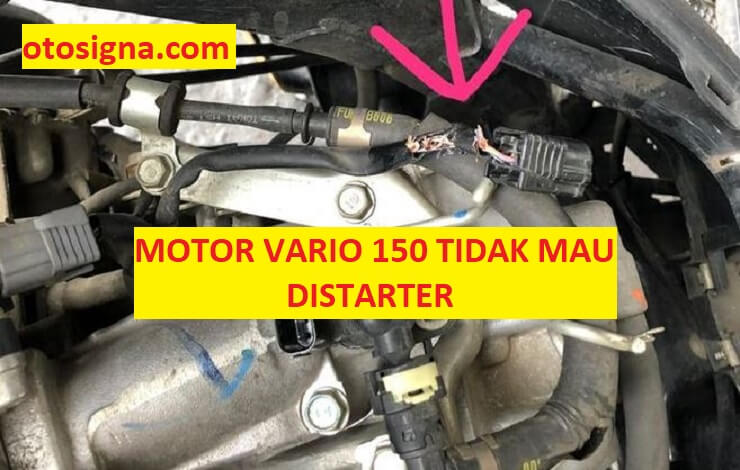 Penyebab Vario 150 Tidak Bisa Starter. Penyebab Motor Vario 150 Tidak Bisa Distarter: 5 Faktor & Ulas