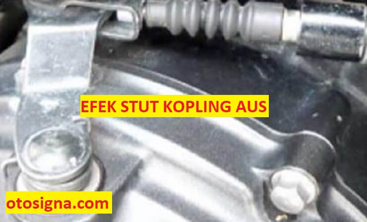 Efek Stut Kopling Aus. Efek Stut Kopling Aus: 5 Resiko Dan Ulasan